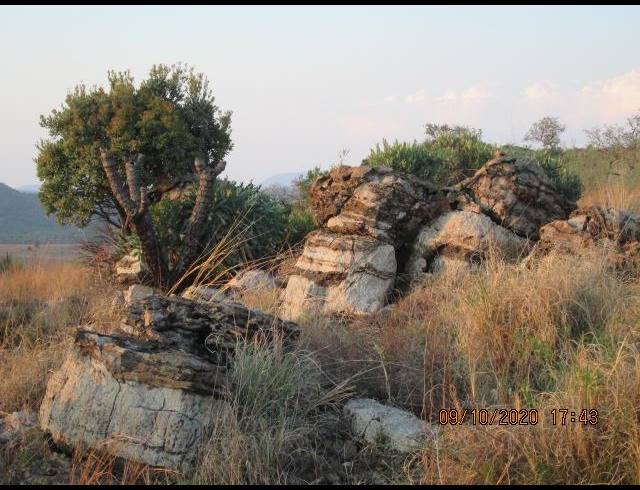 FARM FOR SALE IN LANSERIA